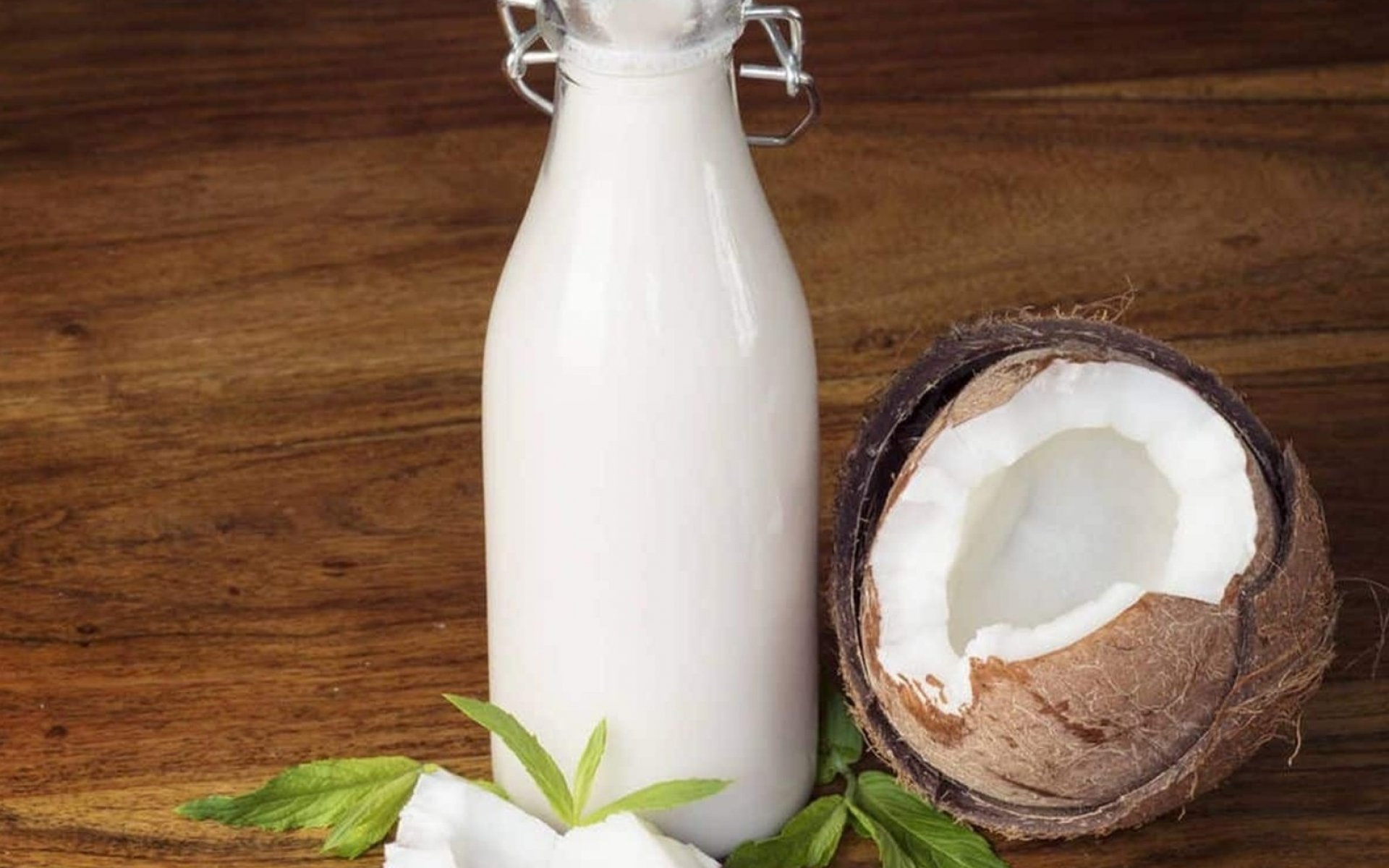 Talking about quality coconuts, you will get them at Rumah Palapa